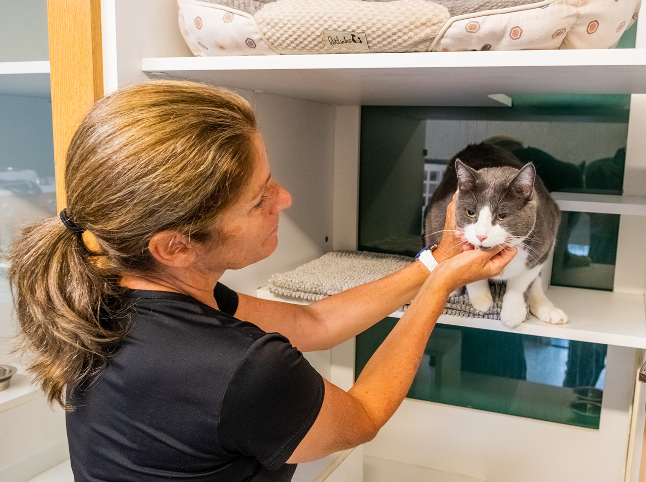 Linda Zago, propriétaire de l’hôtel MUZO Un complexe canin et félin