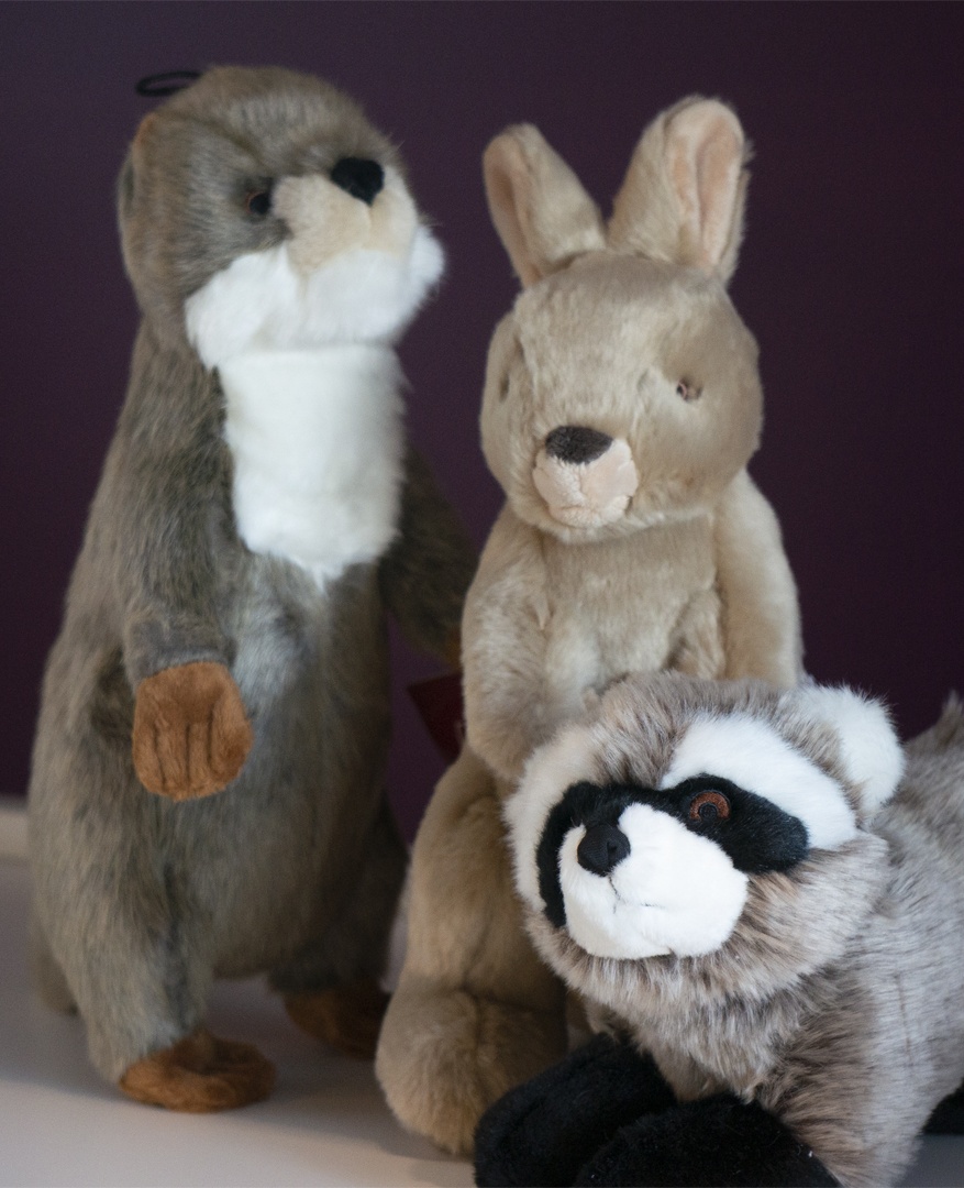 Boutique MUZO Articles essentiels au bonheur de votre animal